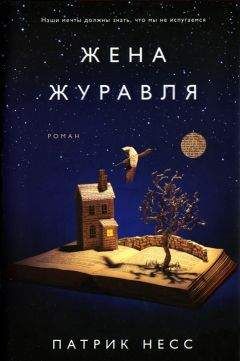 Читайте книги онлайн на Bookidrom.ru! Бесплатные книги в одном клике Патрик Несс - Жена журавля