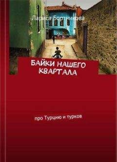 Читайте книги онлайн на Bookidrom.ru! Бесплатные книги в одном клике Лариса Бортникова - Байки нашего квартала [Про Турцию и турков]