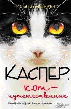 Читайте книги онлайн на Bookidrom.ru! Бесплатные книги в одном клике Сьюзен Финден - Каспер, кот-путешественник