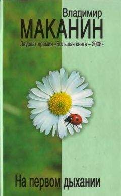 Читайте книги онлайн на Bookidrom.ru! Бесплатные книги в одном клике Владимир Маканин - Погоня