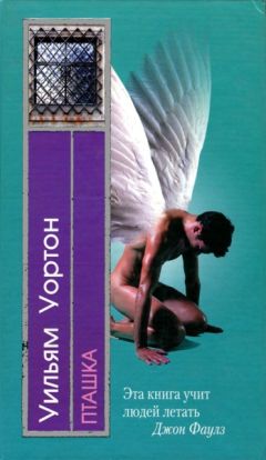 Читайте книги онлайн на Bookidrom.ru! Бесплатные книги в одном клике Уильям Уортон - Пташка