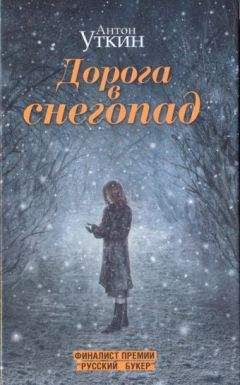 Читайте книги онлайн на Bookidrom.ru! Бесплатные книги в одном клике Антон Уткин - Дорога в снегопад