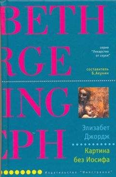 Читайте книги онлайн на Bookidrom.ru! Бесплатные книги в одном клике Элизабет Джордж - Картина без Иосифа