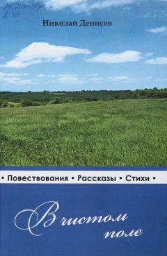 Читайте книги онлайн на Bookidrom.ru! Бесплатные книги в одном клике Н. Денисов - В чистом поле: очерки, рассказы, стихи