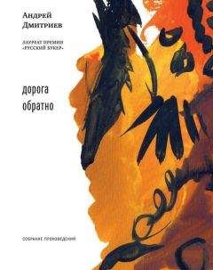 Читайте книги онлайн на Bookidrom.ru! Бесплатные книги в одном клике Андрей Дмитриев - Дорога обратно (сборник)