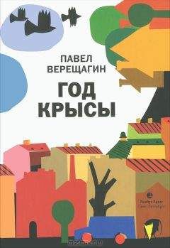 Читайте книги онлайн на Bookidrom.ru! Бесплатные книги в одном клике Павел Верещагин - Год крысы