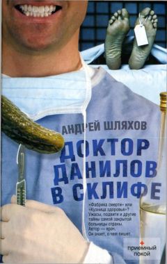 Читайте книги онлайн на Bookidrom.ru! Бесплатные книги в одном клике Андрей Шляхов - Доктор Данилов в Склифе