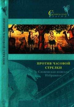 Читайте книги онлайн на Bookidrom.ru! Бесплатные книги в одном клике Владимир Бартол - Против часовой стрелки