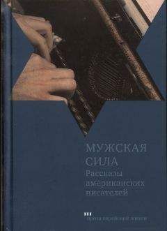 Читайте книги онлайн на Bookidrom.ru! Бесплатные книги в одном клике Делмор Шварц - Мужская сила. Рассказы американских писателей