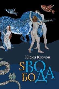 Читайте книги онлайн на Bookidrom.ru! Бесплатные книги в одном клике Юрий Козлов - sВОбоДА