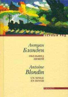 Читайте книги онлайн на Bookidrom.ru! Бесплатные книги в одном клике Антуан Блонден - Обезьяна зимой