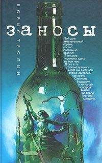 Читайте книги онлайн на Bookidrom.ru! Бесплатные книги в одном клике Борис Тропин - Заносы
