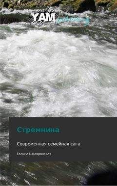 Читайте книги онлайн на Bookidrom.ru! Бесплатные книги в одном клике Галина Шкавронская - Стремнина