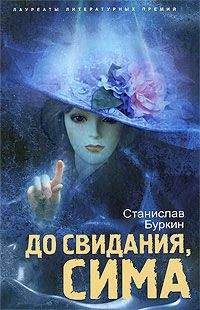 Читайте книги онлайн на Bookidrom.ru! Бесплатные книги в одном клике Станислав Буркин - До свидания, Сима