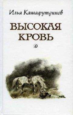 Читайте книги онлайн на Bookidrom.ru! Бесплатные книги в одном клике Ильгиз Кашафутдинов - Высокая кровь