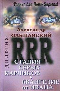 Читайте книги онлайн на Bookidrom.ru! Бесплатные книги в одном клике Александр Ольшанский - Евангелие от Ивана