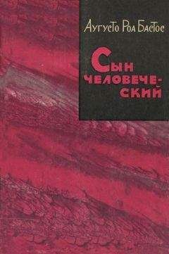 Читайте книги онлайн на Bookidrom.ru! Бесплатные книги в одном клике Аугусто Бастос - Сын человеческий