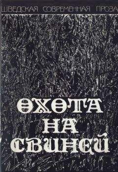 Читайте книги онлайн на Bookidrom.ru! Бесплатные книги в одном клике Биргитта Тротциг - Охота на свиней