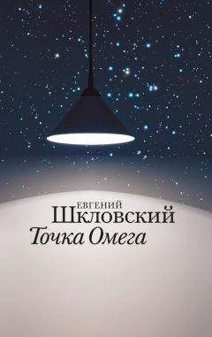 Читайте книги онлайн на Bookidrom.ru! Бесплатные книги в одном клике Евгений Шкловский - Точка Омега