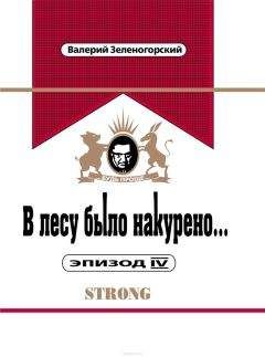 Читайте книги онлайн на Bookidrom.ru! Бесплатные книги в одном клике Валерий Зеленогорский - В лесу было накурено... Эпизод IV