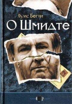 Читайте книги онлайн на Bookidrom.ru! Бесплатные книги в одном клике Луис Бегли - О Шмидте