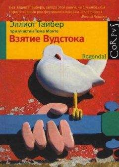 Читайте книги онлайн на Bookidrom.ru! Бесплатные книги в одном клике Эллиот Тайбер - Взятие Вудстока