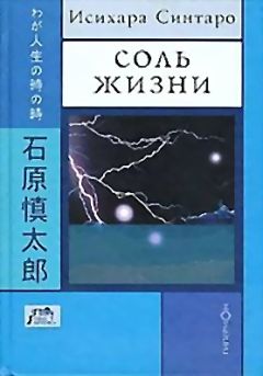 Читайте книги онлайн на Bookidrom.ru! Бесплатные книги в одном клике Синтаро Исихара - Соль жизни