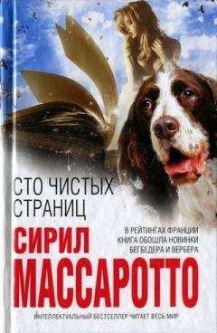 Читайте книги онлайн на Bookidrom.ru! Бесплатные книги в одном клике Сирил Массаротто - Сто чистых страниц