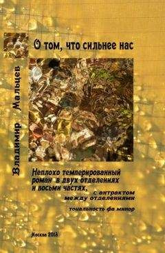 Читайте книги онлайн на Bookidrom.ru! Бесплатные книги в одном клике Владимир Мальцев - О том, что сильнее нас