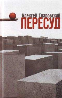 Читайте книги онлайн на Bookidrom.ru! Бесплатные книги в одном клике Алексей Слаповский - Пересуд