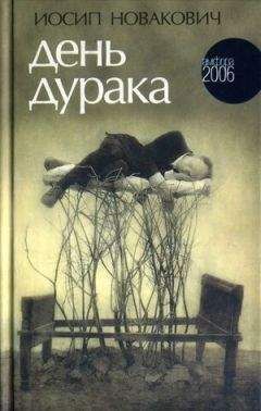 Читайте книги онлайн на Bookidrom.ru! Бесплатные книги в одном клике Иосип Новакович - День дурака