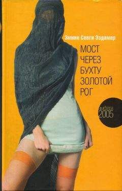 Читайте книги онлайн на Bookidrom.ru! Бесплатные книги в одном клике Эмине Эздамар - Мост через бухту Золотой Рог