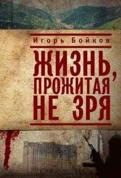 Читайте книги онлайн на Bookidrom.ru! Бесплатные книги в одном клике Игорь Бойков - Жизнь, прожитая не зря