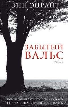 Читайте книги онлайн на Bookidrom.ru! Бесплатные книги в одном клике Энн Энрайт - Забытый вальс