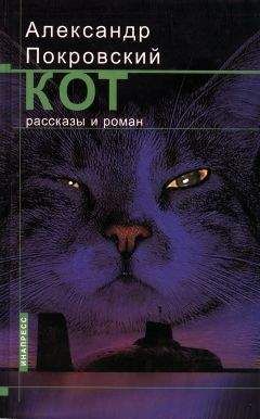 Читайте книги онлайн на Bookidrom.ru! Бесплатные книги в одном клике Александр Покровский - Кот