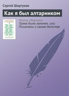Читайте книги онлайн на Bookidrom.ru! Бесплатные книги в одном клике Сергей Шаргунов - Как я был алтарником