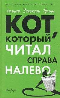 Читайте книги онлайн на Bookidrom.ru! Бесплатные книги в одном клике Лилиан Браун - Кот, который играл в слова