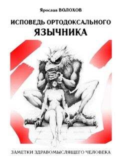 Читайте книги онлайн на Bookidrom.ru! Бесплатные книги в одном клике Ярослав Волохов - Исповедь ортодоксального язычника