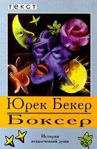 Читайте книги онлайн на Bookidrom.ru! Бесплатные книги в одном клике Юрек Бекер - Боксер