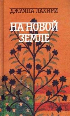 Читайте книги онлайн на Bookidrom.ru! Бесплатные книги в одном клике Джумпа Лахири - На новой земле