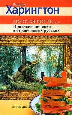 Читайте книги онлайн на Bookidrom.ru! Бесплатные книги в одном клике Роланд Харингтон - Золотая кость, или Приключения янки в стране новых русских