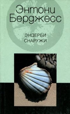 Читайте книги онлайн на Bookidrom.ru! Бесплатные книги в одном клике Энтони Берджесс - Эндерби снаружи