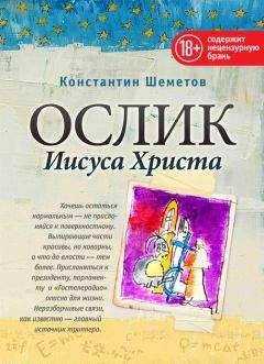 Читайте книги онлайн на Bookidrom.ru! Бесплатные книги в одном клике Константин Шеметов - Ослик Иисуса Христа