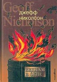 Читайте книги онлайн на Bookidrom.ru! Бесплатные книги в одном клике Джефф Николсон - Бедлам в огне