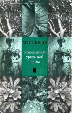 Читайте книги онлайн на Bookidrom.ru! Бесплатные книги в одном клике Владимир Соколовский - Антология современной уральской прозы