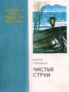 Читайте книги онлайн на Bookidrom.ru! Бесплатные книги в одном клике Виктор Пожидаев - Чистые струи