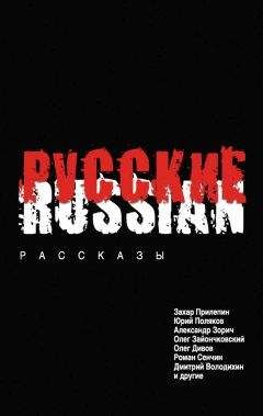 Читайте книги онлайн на Bookidrom.ru! Бесплатные книги в одном клике Роман Сенчин - Русские (сборник)