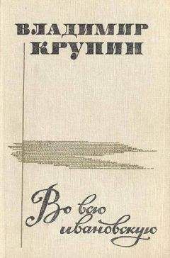 Читайте книги онлайн на Bookidrom.ru! Бесплатные книги в одном клике Владимир Крупин - Во всю ивановскую (сборник рассказов)