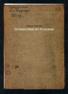 Читайте книги онлайн на Bookidrom.ru! Бесплатные книги в одном клике Павел Улитин - Путешествие без Надежды