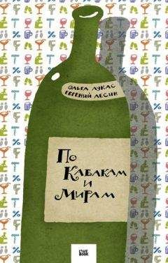 Читайте книги онлайн на Bookidrom.ru! Бесплатные книги в одном клике Евгений Лесин - По Кабакам и Мирам